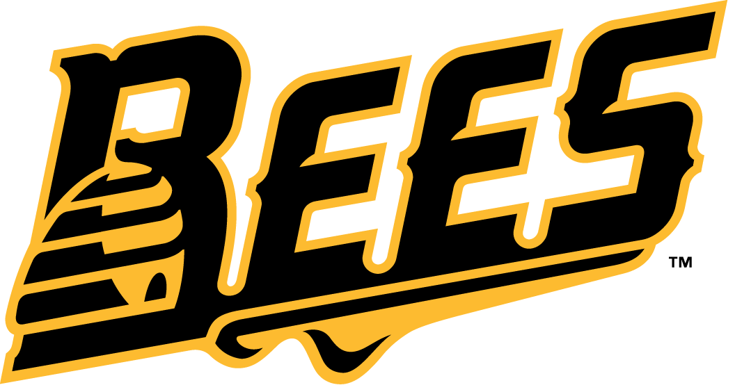 New Britain Bees 2016-Pres Wordmark Logo v3 iron on transfers for T-shirts